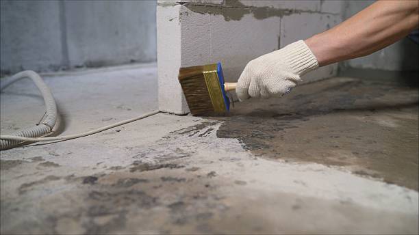 Trusted Waterproofing service in Hamburg, MI - SGP Waterproofing
